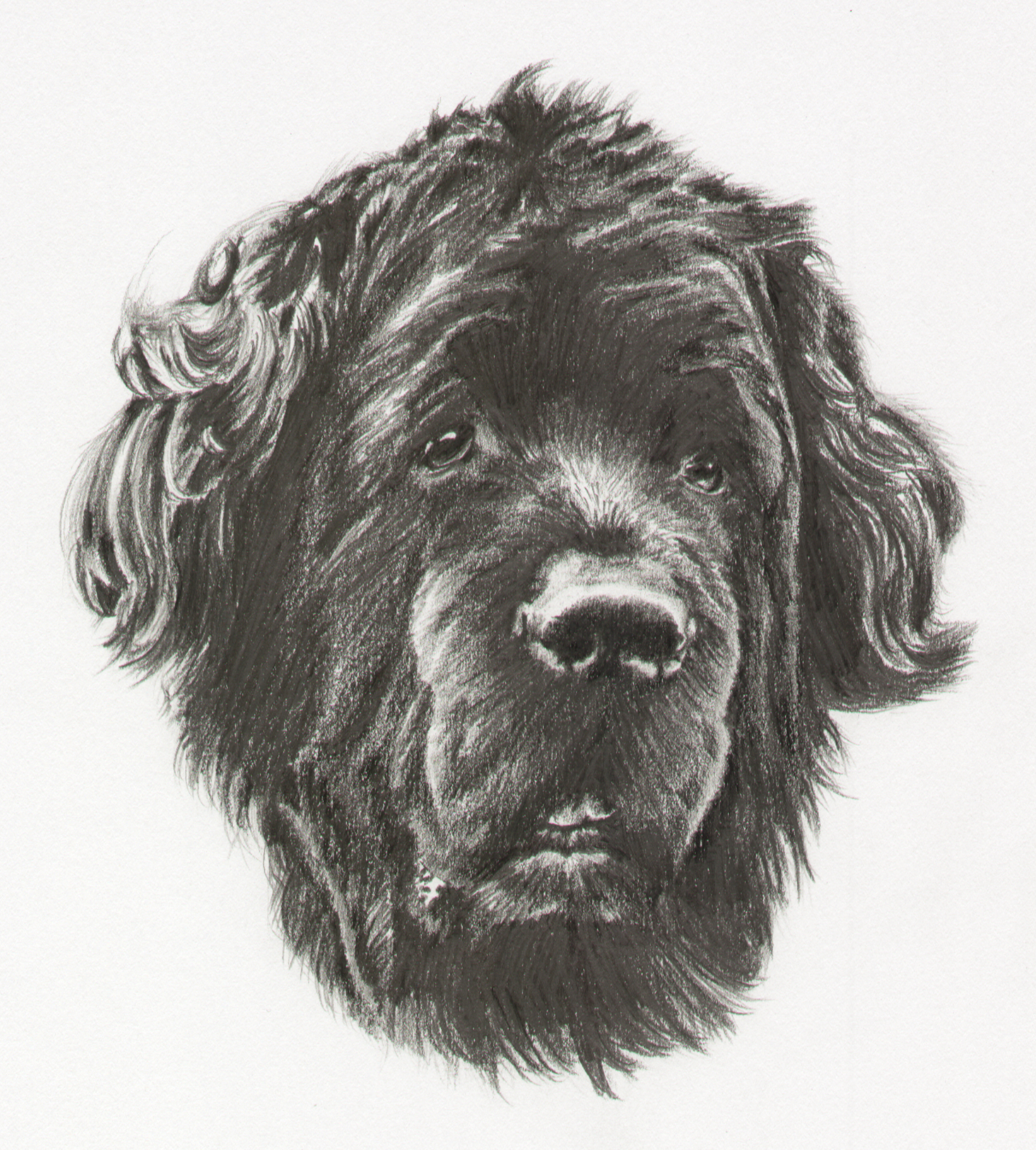 'Karluk' in graphite